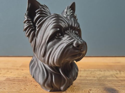 Yorkshire terrier büste - yorkshire,