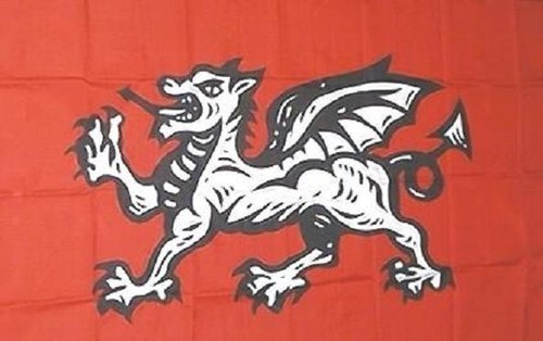 Fahne flagge drache 150 - 90,