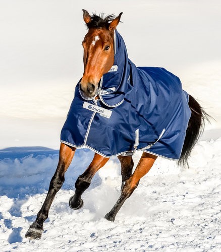 Bucas freedom turnout - freedom, extra