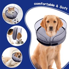 Hund katze haustiere - hund＆katze,