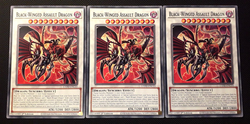 3x black winged - yu-gi-oh!, black-winged