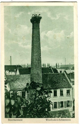 Wiesbaden schierstein - ak,