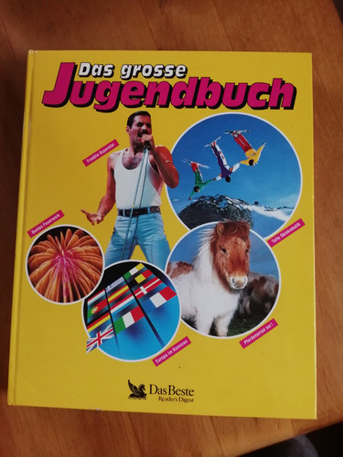 Das grosse jugendbuch readers - das,