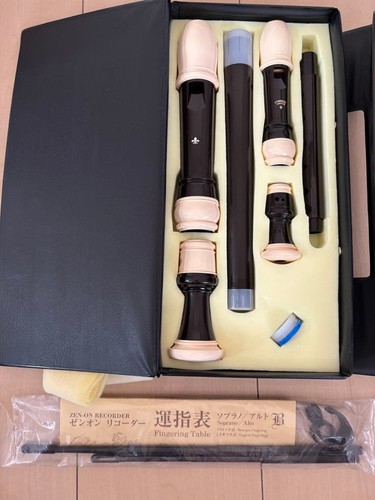 Recorder case - recorder, al