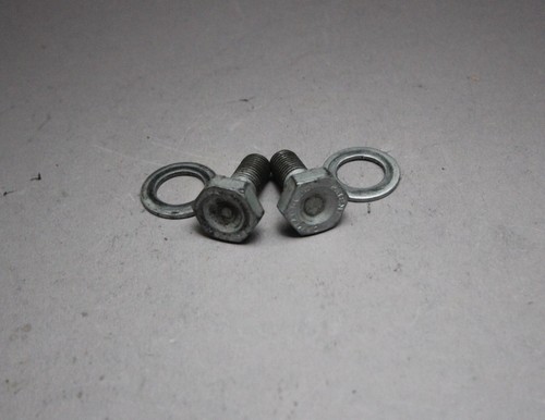 Campagnolo crank bolt 32g - /, /