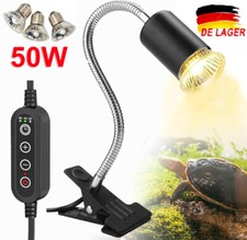 Schildkröten Wärmelampe