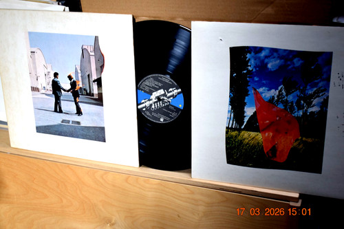 Pink floyd wish - pink, floyd: