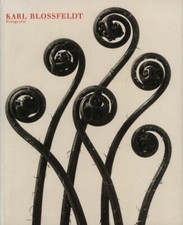 Blossfeldt, Karl Blossfeldt, Fotografie.