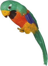 Deko Vogel mit Federn Piraten