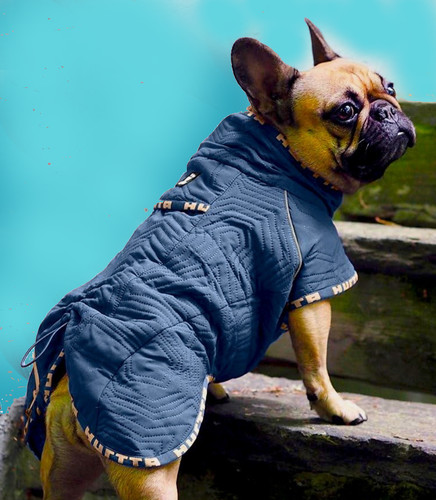 Hurtta casual steppjacke - ❤️hurtta,