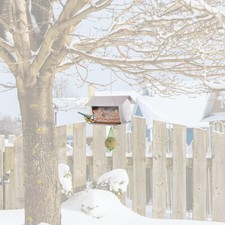 MeLiTec Edelstahl Vogelfutterhaus VH08 Vogelhaus hängend eckig
