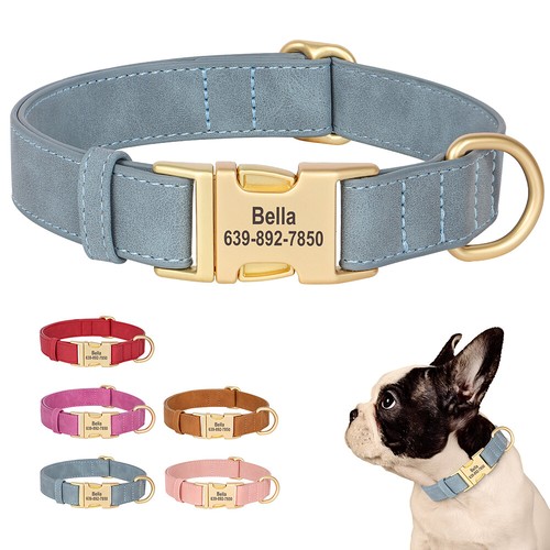 Personalisiertes hundehalsband - personalisiertes,