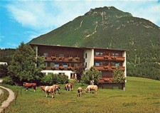 Fischl Jenbach Tirol AT