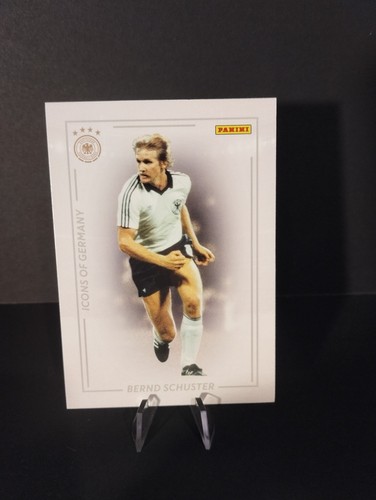 Panini dfb team set - dfb, team-set