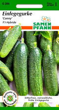 Einlegegurke Conny (F1) - früh bitterfrei reinweiblich resistent - Gurken Samen