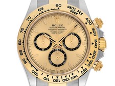 Rolex Daytona Ref.126503 2025