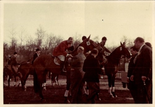 Foto reitturnier pferdesport - foto,