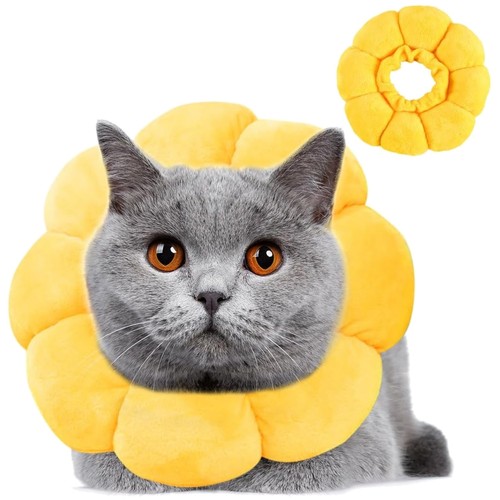 Katzen halskrause leckschutz - katzen,