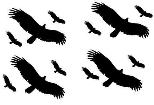 Vögel aufkleber - 12,