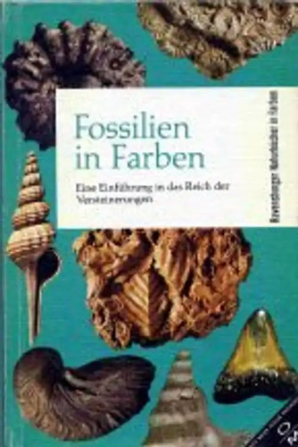 Fossilien farben eine - in,