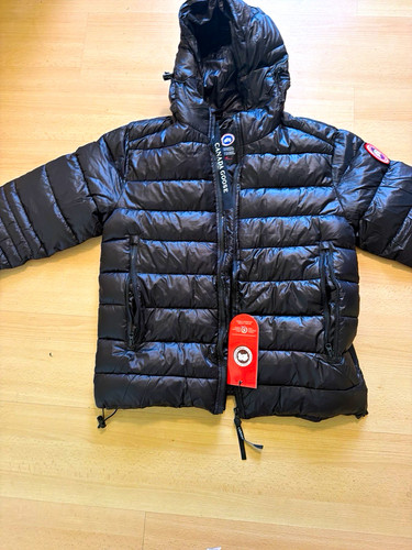 Canada goose chilliwack jungen - goose,