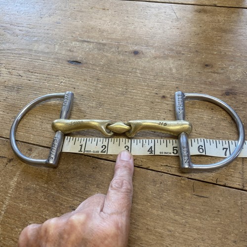 Neue schule salox - schule,
