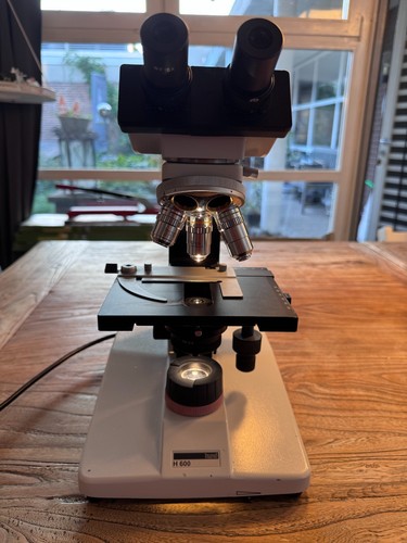 Hund wetzlar h600 - wetzlar,