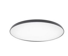IKEA NYMÅNE Deckenleuchte, LED, anthrazit, 45 cm - Wie Neu
