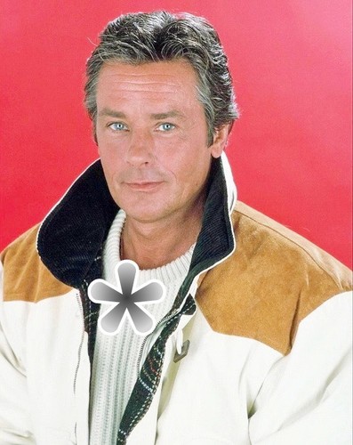 Foto alain delon 5x15 - delon, 11,5x15
