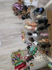 Grand Champions Pferde Konvolut