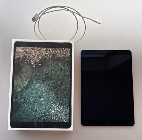 Apple ipad pro - apple, 256gb