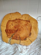 Mammutbaum Tisch-Platte, Tablett-Platte, Baumscheibe.