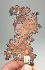 gediegen Kupfer - Bisbee, Arizona, USA NST