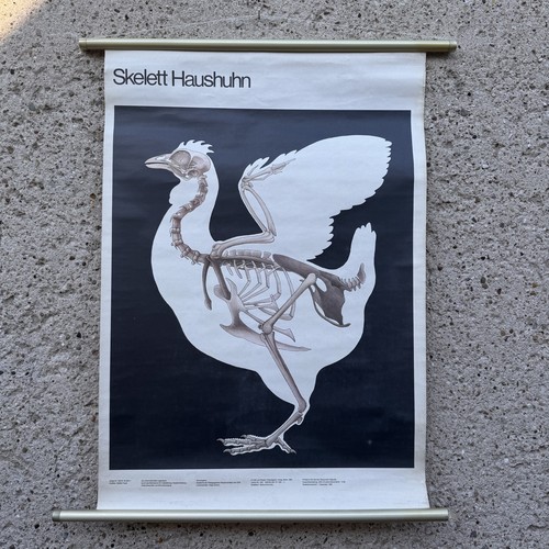 Original schulwandkarte - original,