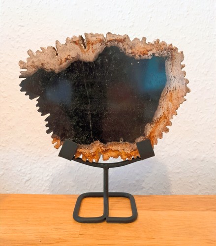 Versteinertes holz auf - versteinertes,