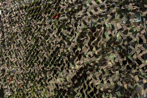 Dickes tarnnetz garten - tarnnetz,