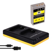 Akku + Dual-Ladegerät für