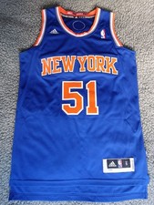 New York Knicks Jersey Trikot World Peace Adidas NBA