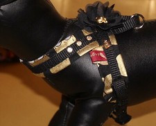 8426_Angeldog_Hundegeschirr_So