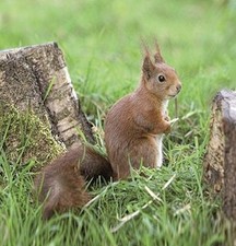 Outdoor Textilposter ALVIN