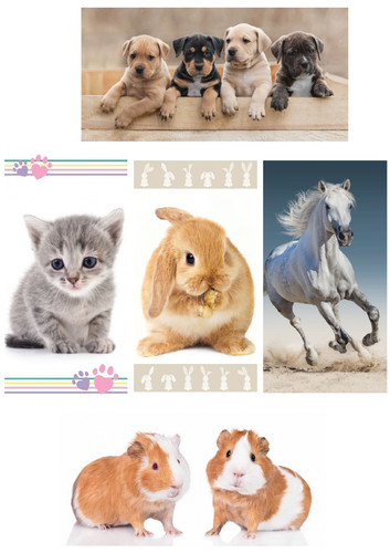 Handtuch pferd hund katze - pferd,