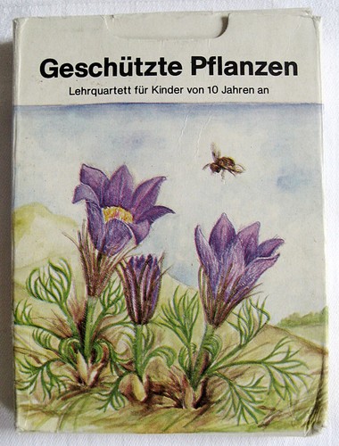 Lehrquartett geschützte - lehrquartett,