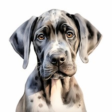 Wandtattoo Aufkleber Deutsche