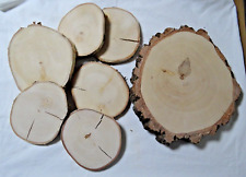 Baumscheiben Birke trockene glatt geschleift Holzscheiben Deko Bastelholz