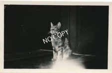 Kunst Foto Nachlass von