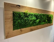 Moosbild 107 x 32 cm Waldboden