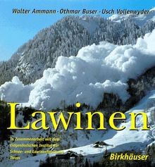 Lawinen buch zustand gut - lawinen,