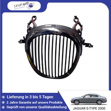 🇩🇪 GRILLE ➤ JAGUAR