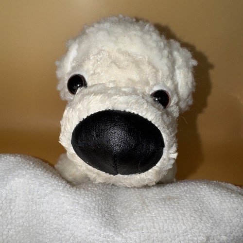 Vintage bichon frise puppy the - bichon,