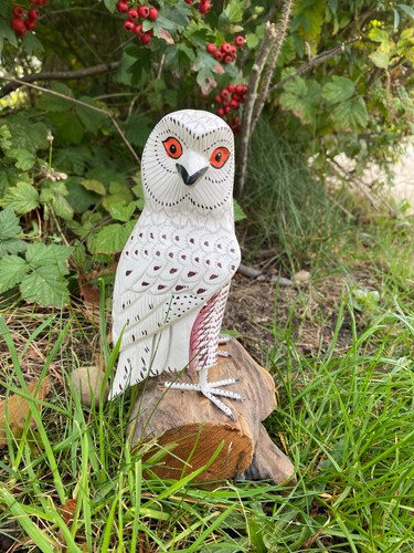Schneeeule auf holzwurzel - auf,